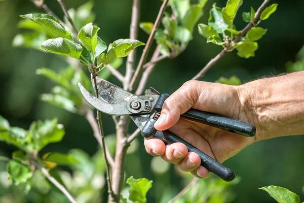 Optimizing Your Irrigation System: A Personal Take